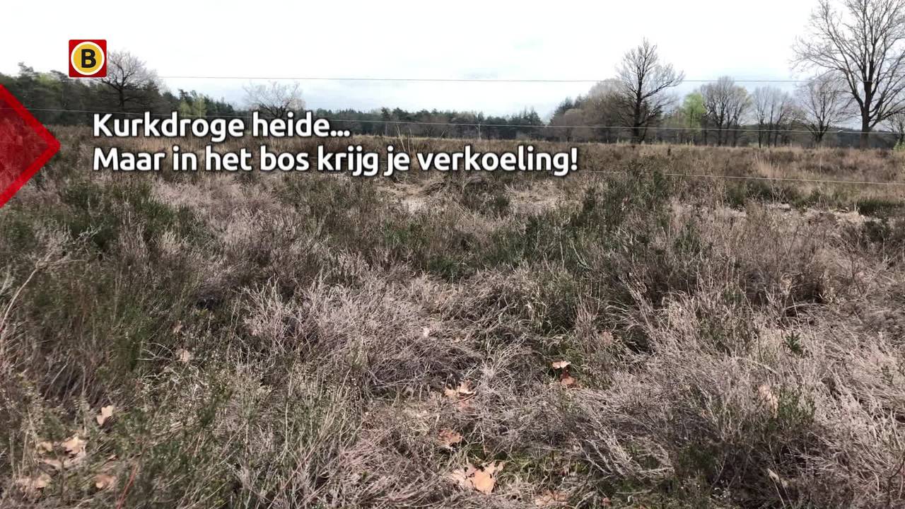 Ga naar slide 4