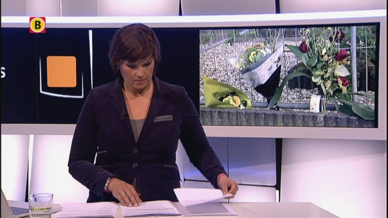 Ga naar slide 3