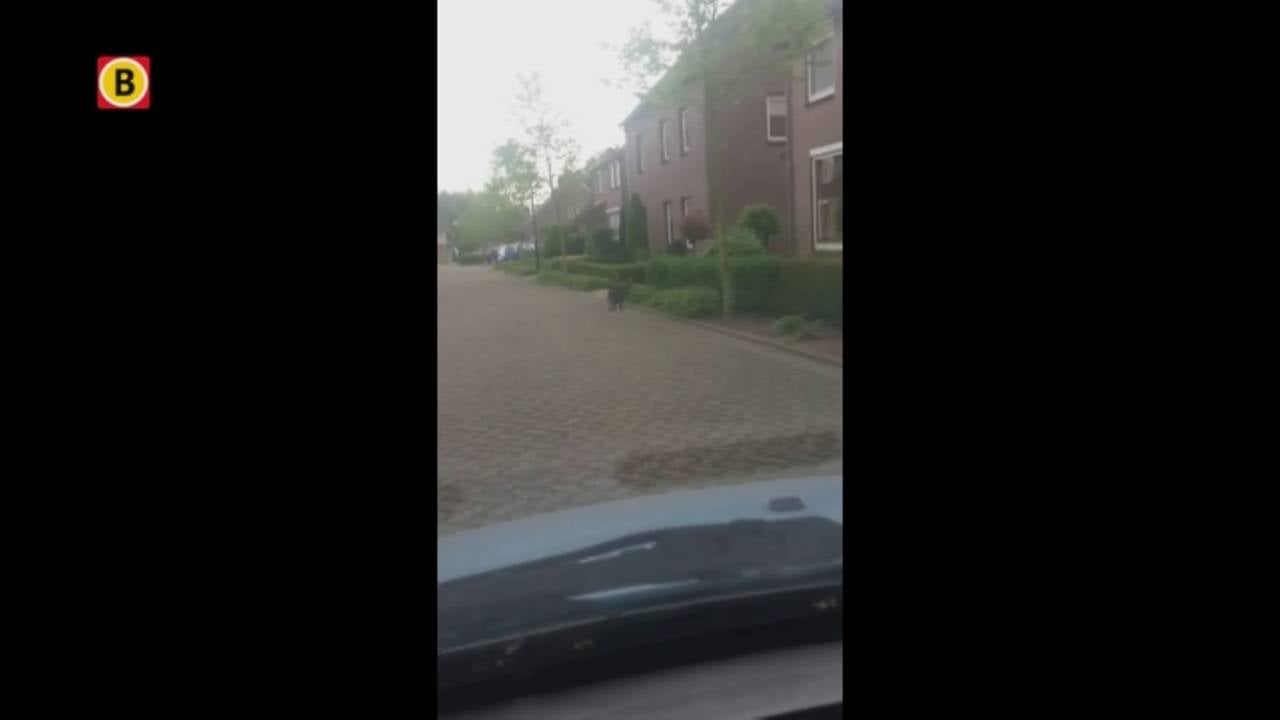 Ga naar slide 2