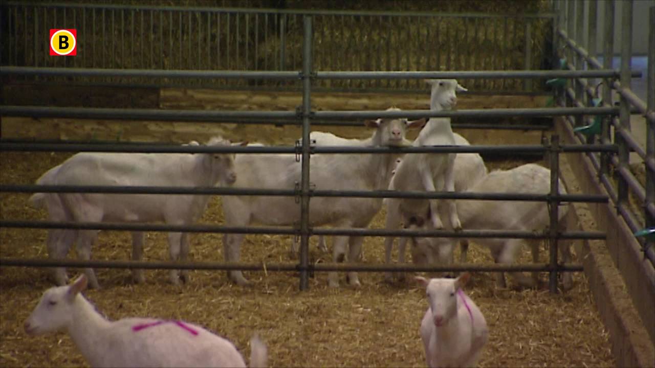 Q-koortspatiëntenvereniging Q-uestion gaat Nederlandse staat aanklagen