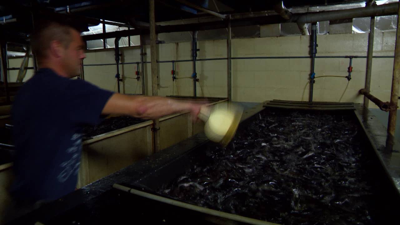 Brabanders zien vaker af van gang naar de rechter door lange wachttijden bij de rechtbank