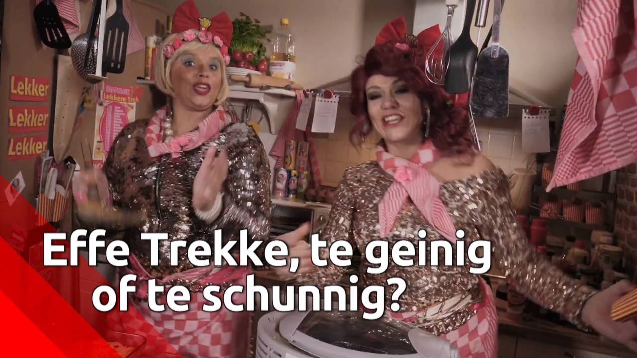 Platte carnavalsliedjes, niet iedereen is er van gediend.