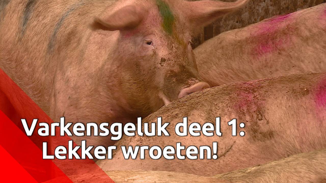 Ga naar slide 1