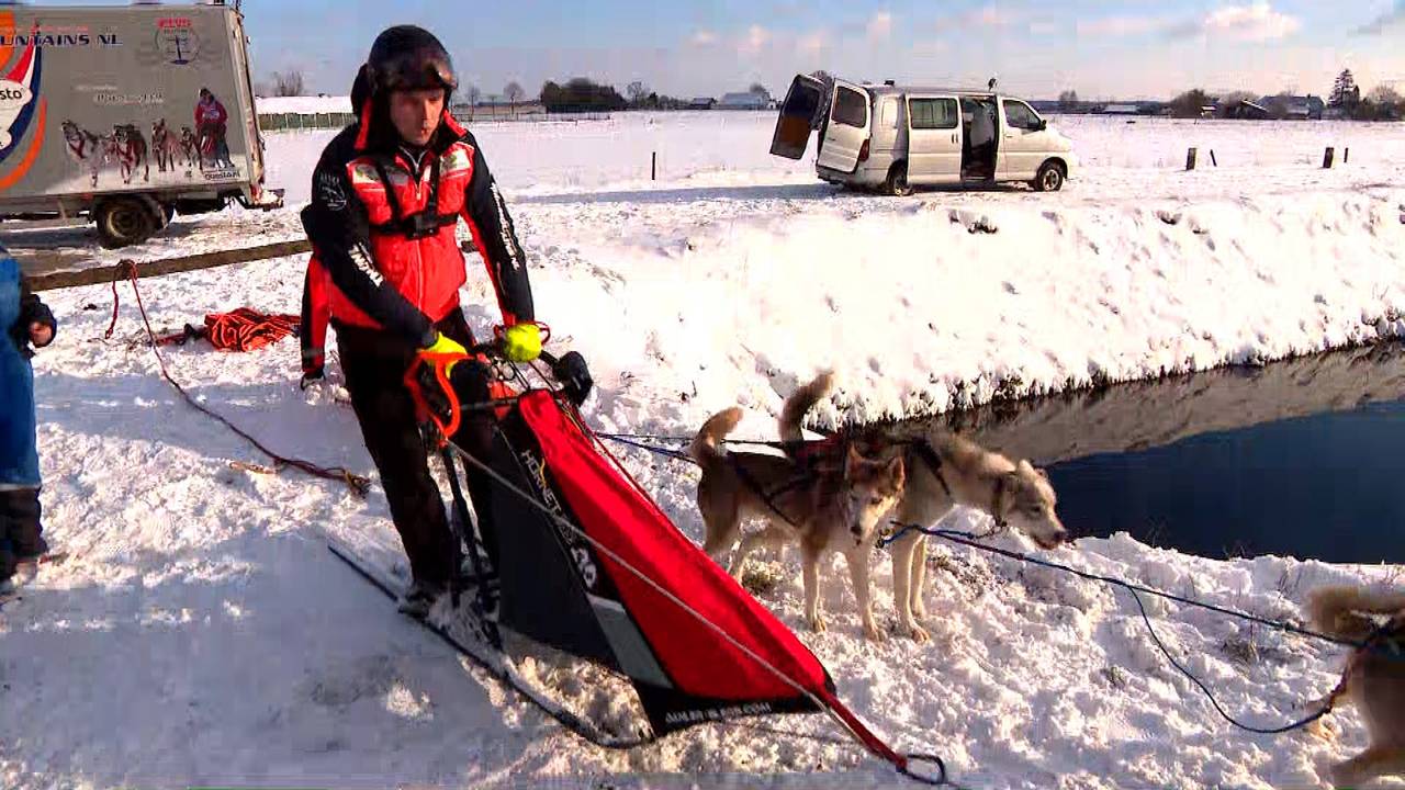 Husky's racen door de bossen in Tilburg