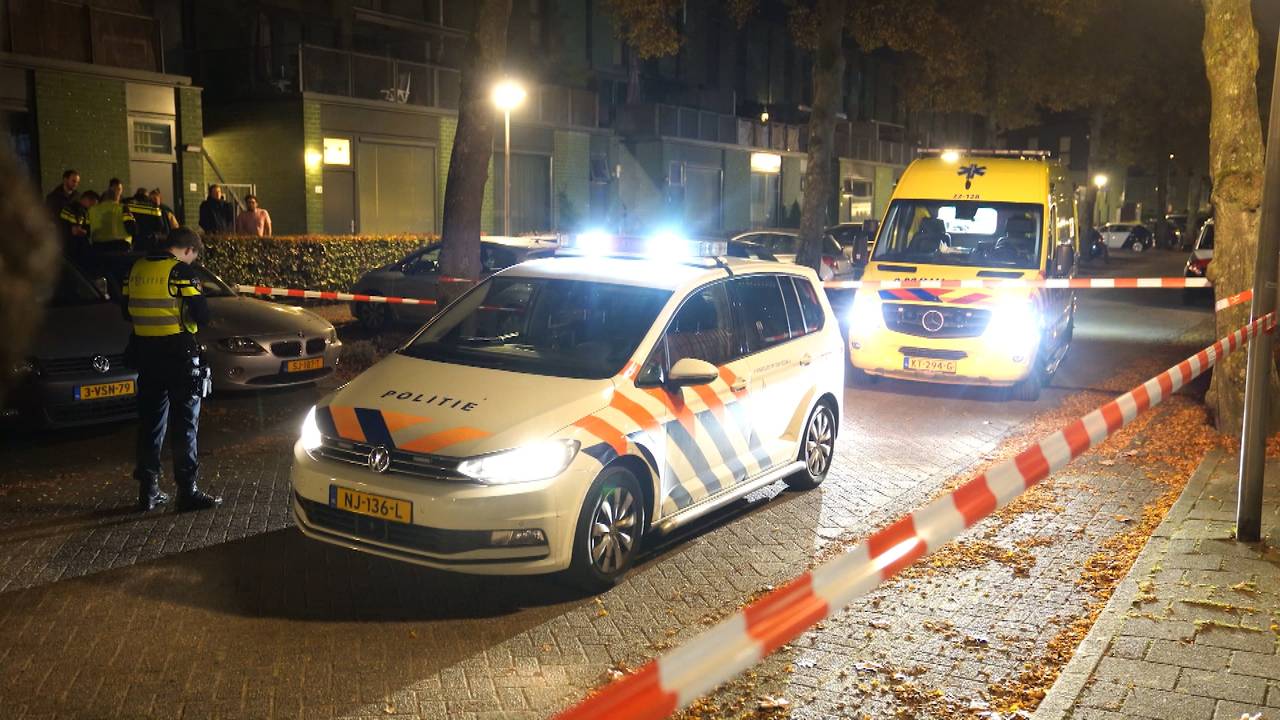 Bestuurster lichtgewond na ongeluk met vrachtwagen.