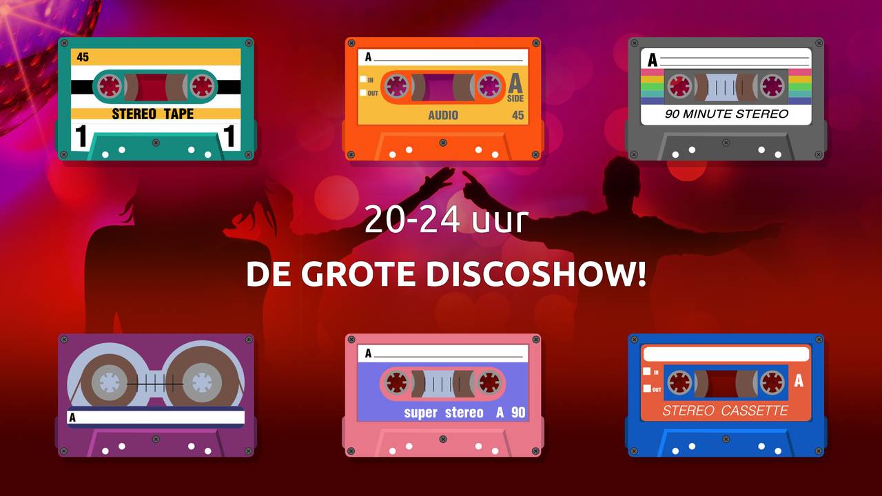 De grote discoshow