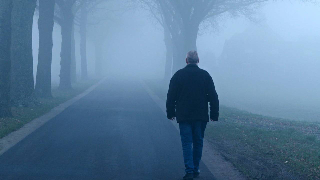 25 jaar na de varkenspest