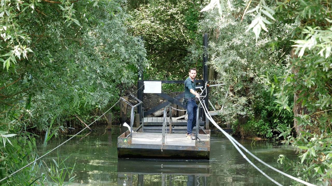 Het pontje bij Groot Drijfhuis