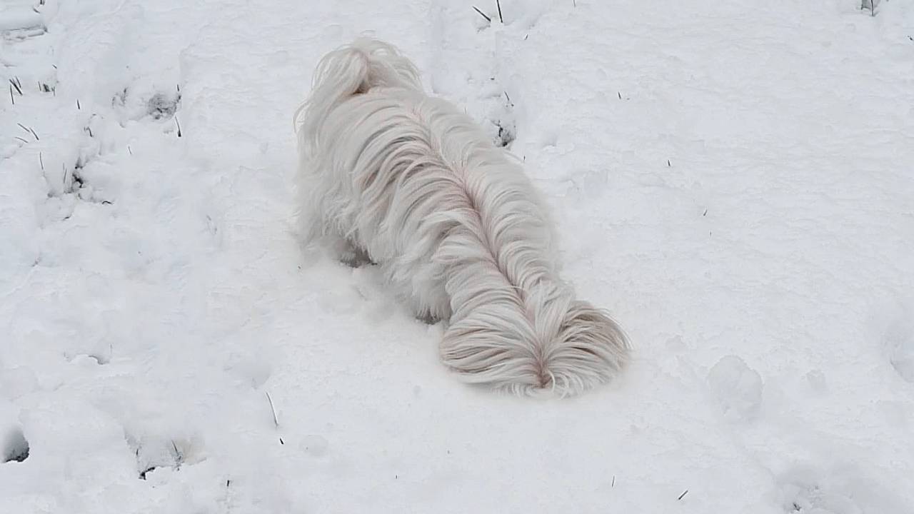 Foto: Marielle van den Bijgaart