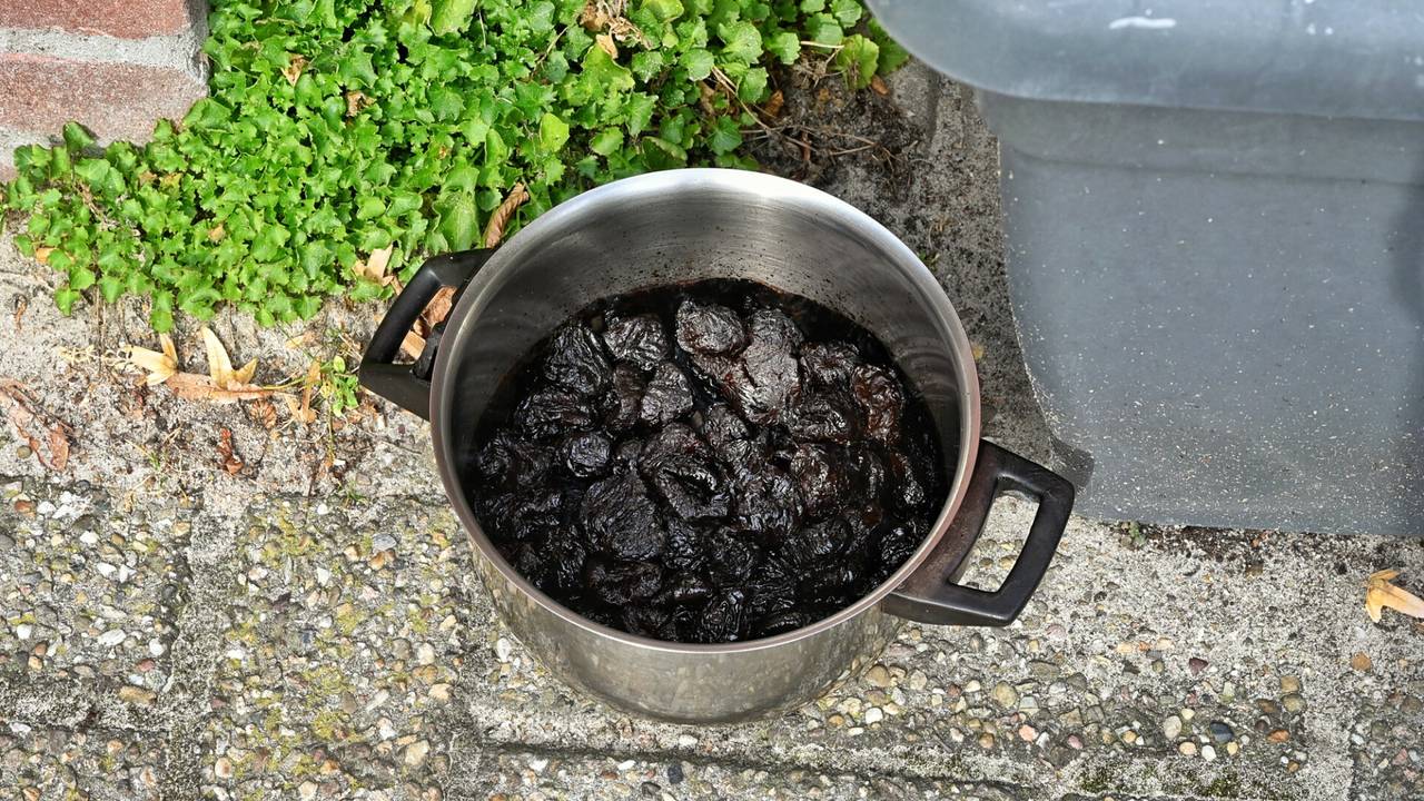 Foto: Toby de Kort/SQ Vision