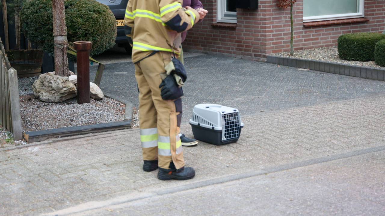 Foto: Addy Smits/Persbureau Heitink.