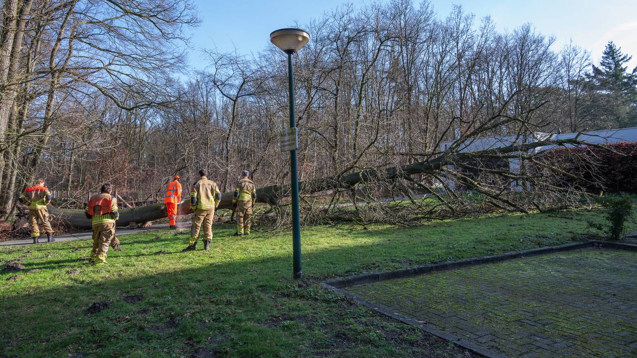 De boom blokkeerde een inrit van een huis in de Rouppe van der Voortlaan in Ulvenhout (foto: Tom van der Put/SQ Vision).
