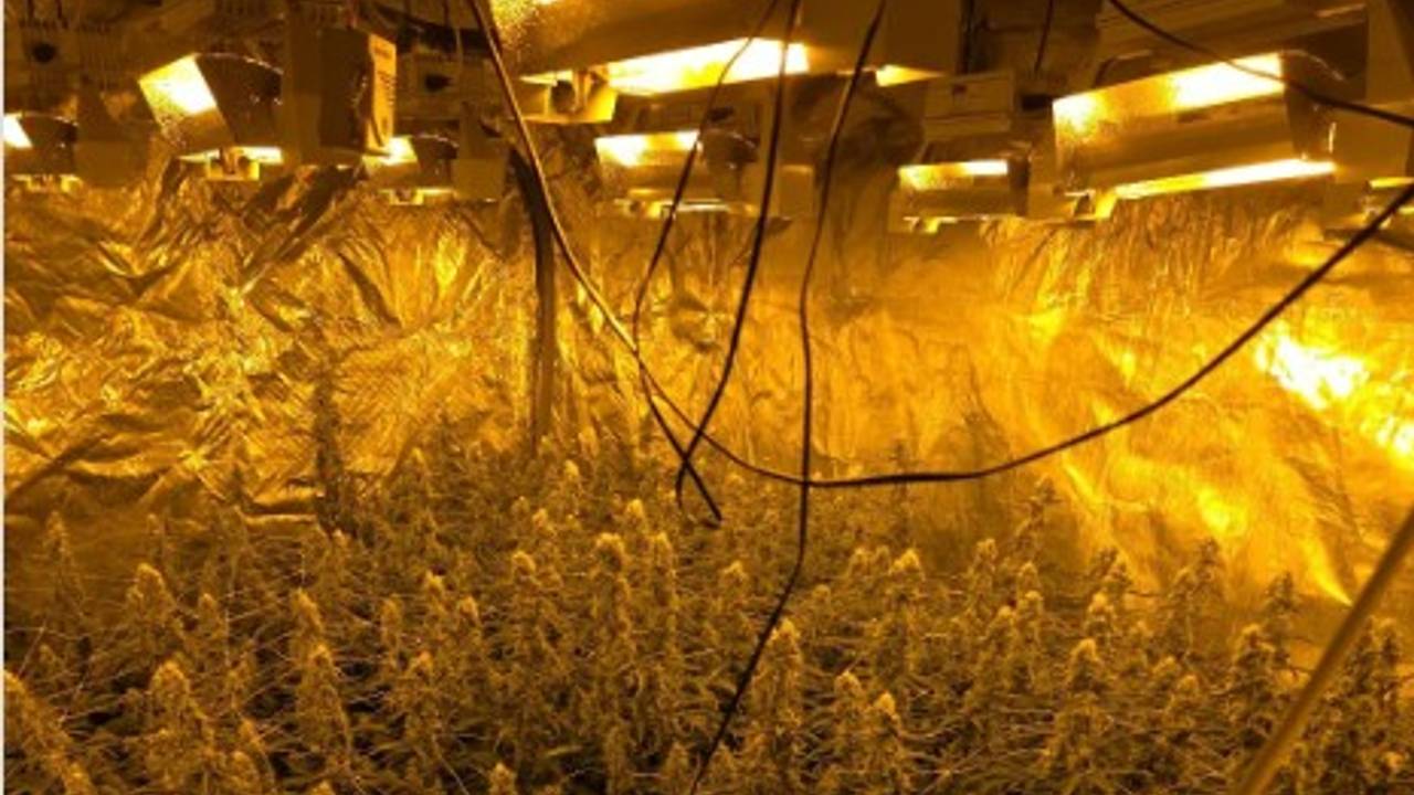 De hennepkwekerij werd ontdekt in Veldhoven (foto: Instagram politie Veldhoven-Waalre).