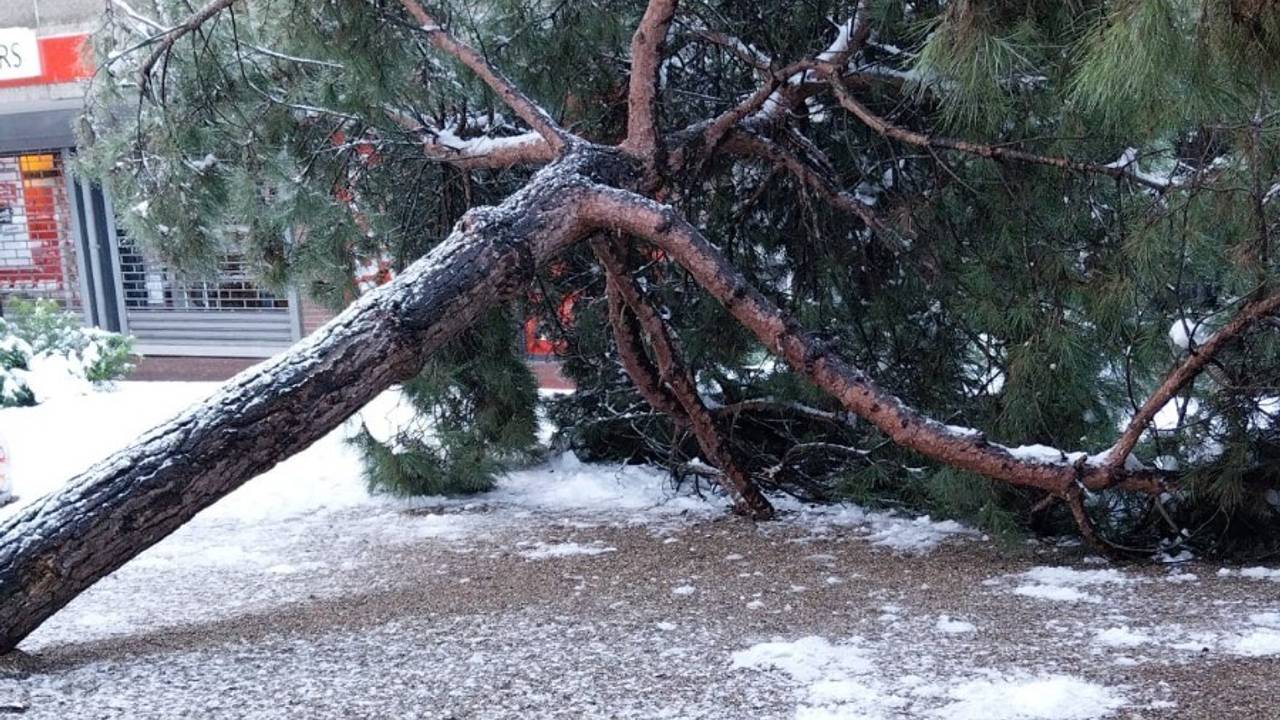 Foto: Rien den Brok, Oss