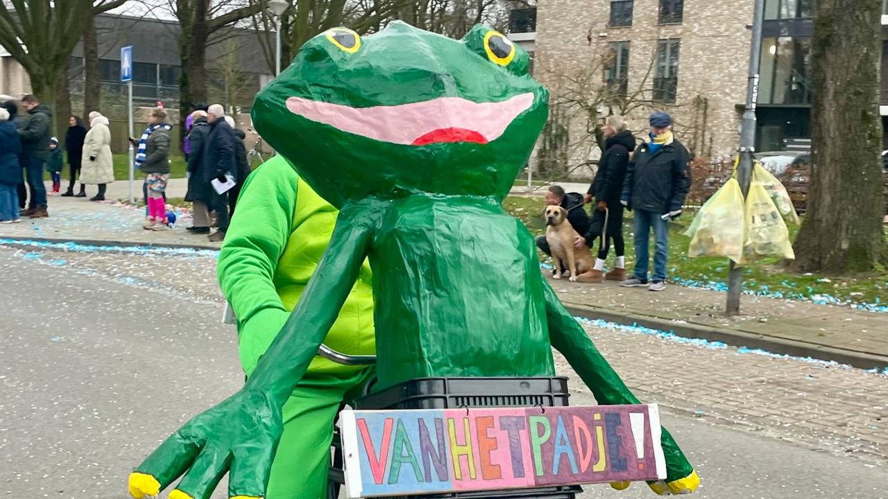 De optocht in Rommelgat (Veldhoven)(foto: Ronny Balk).