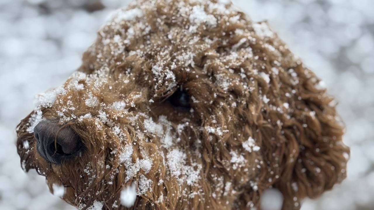 Foto: Tamara Donkers