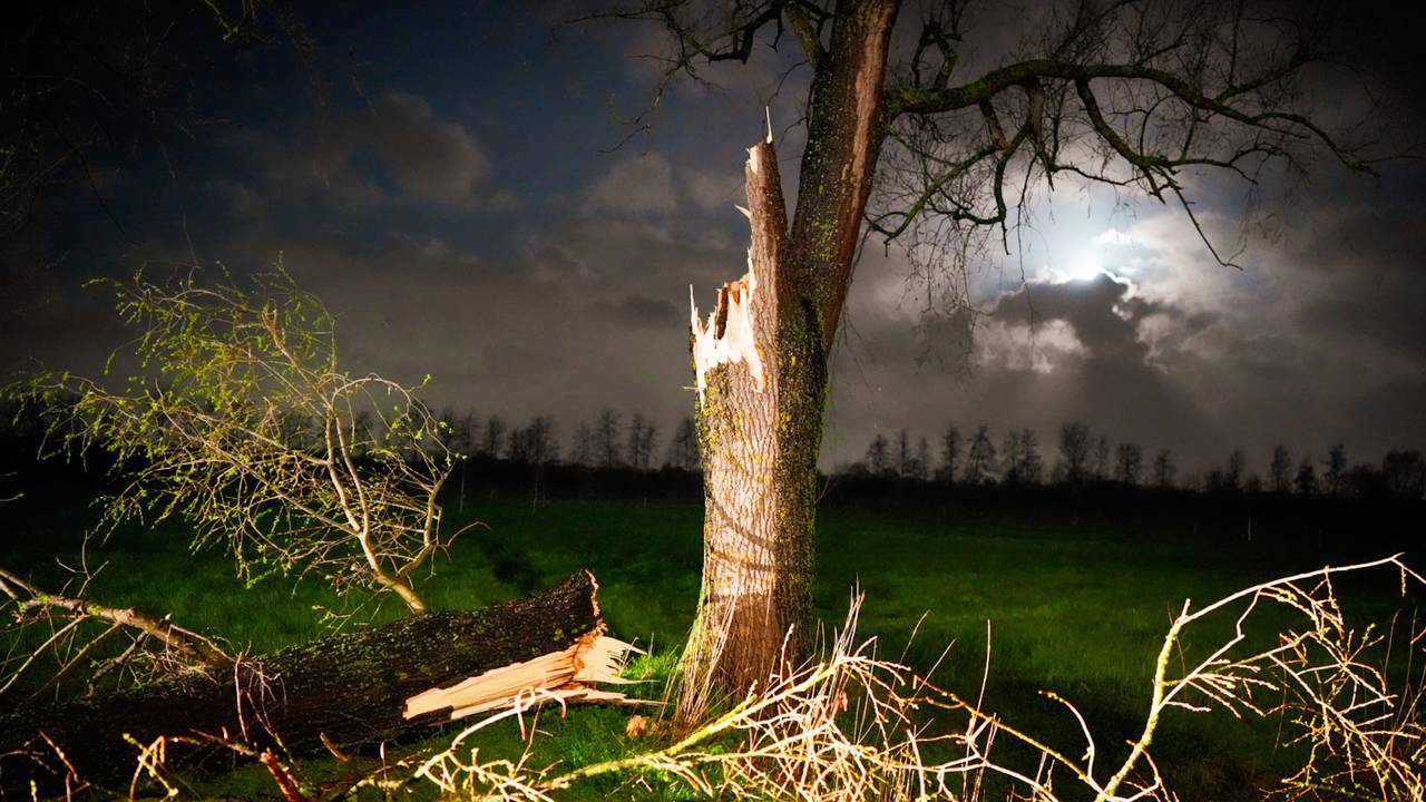 Foto: Erik Haverhals/Persbureau Heitink.