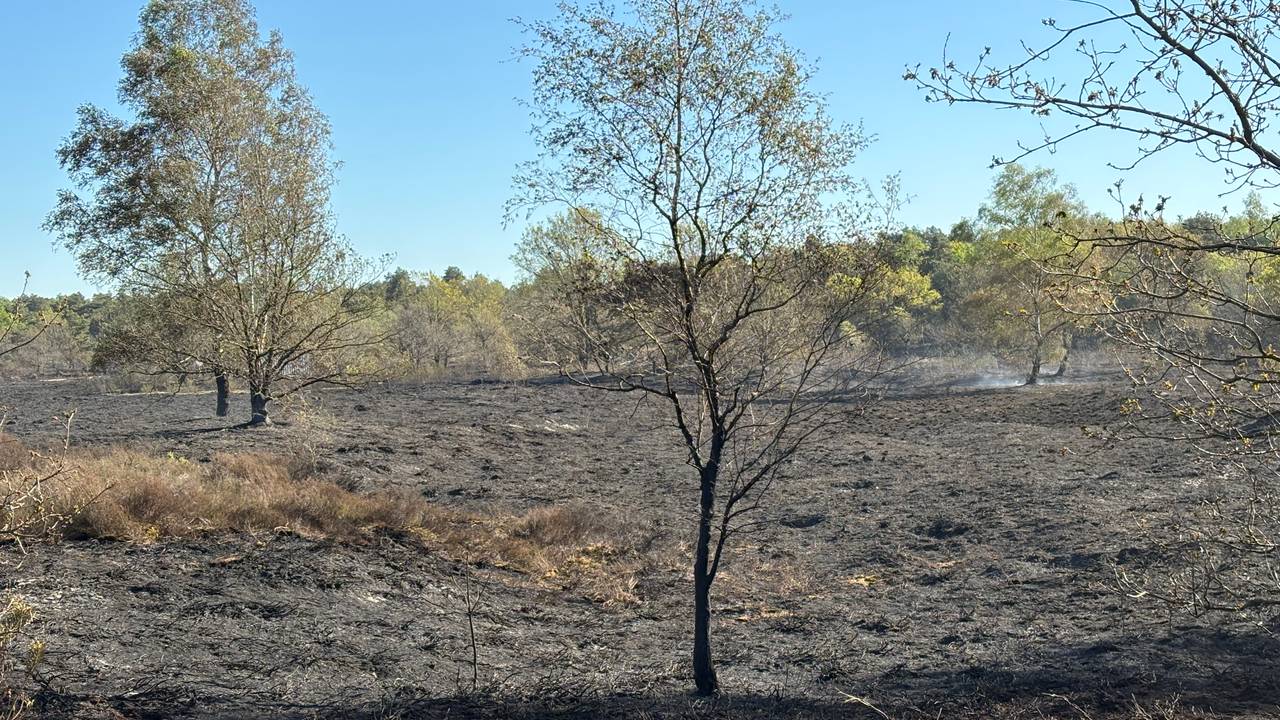 Brand lijkt gedoofd in Oirschot (foto: Omroep Brabant).