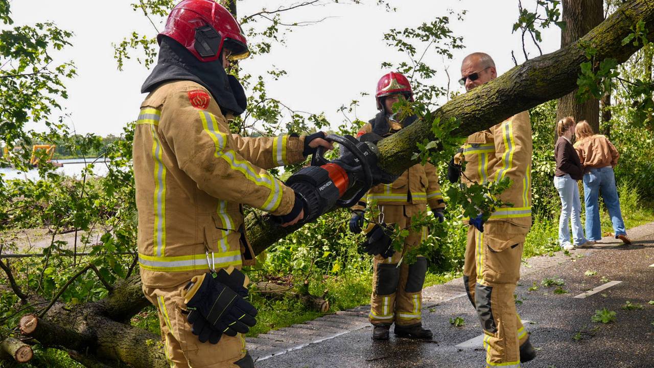 Omgewaaide boom in Liessel (foto: Harrie Grijseels / Persbureau Heitink).