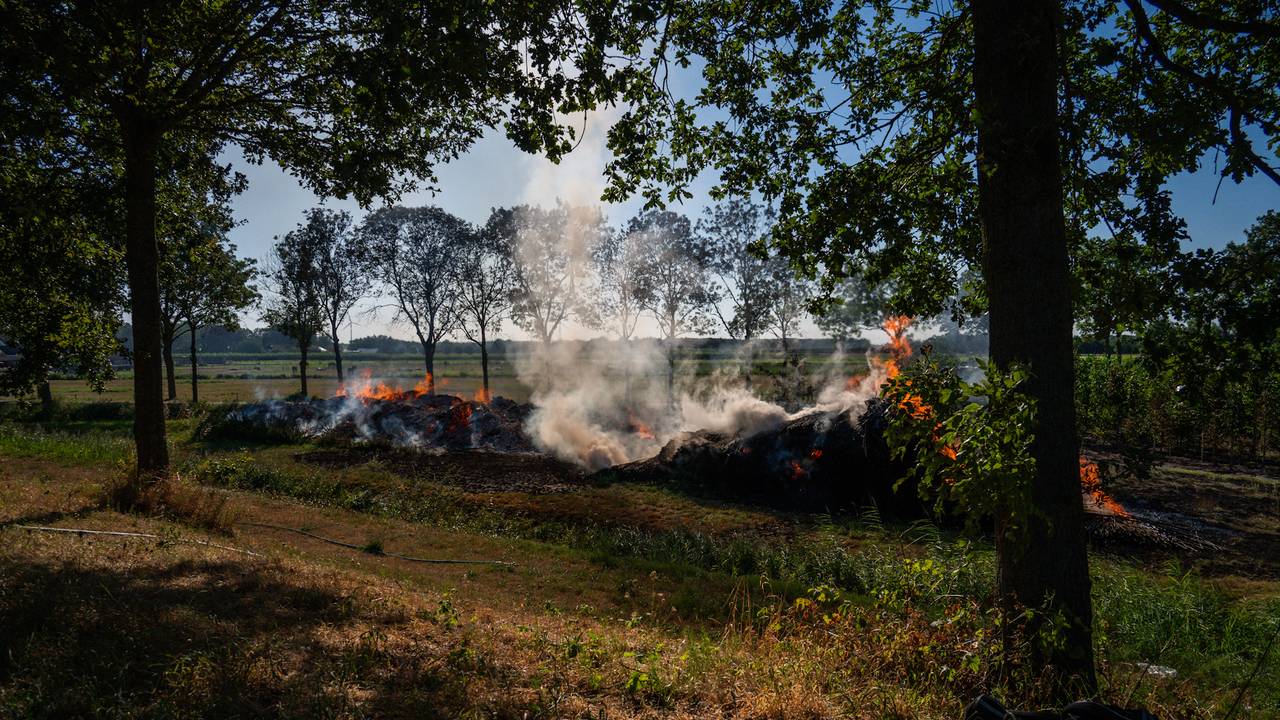 Enorme berg snoeiafval en bamboestokken in brand in Prinsenbeek (foto: Tom van der Put / Persbureau Heitink).