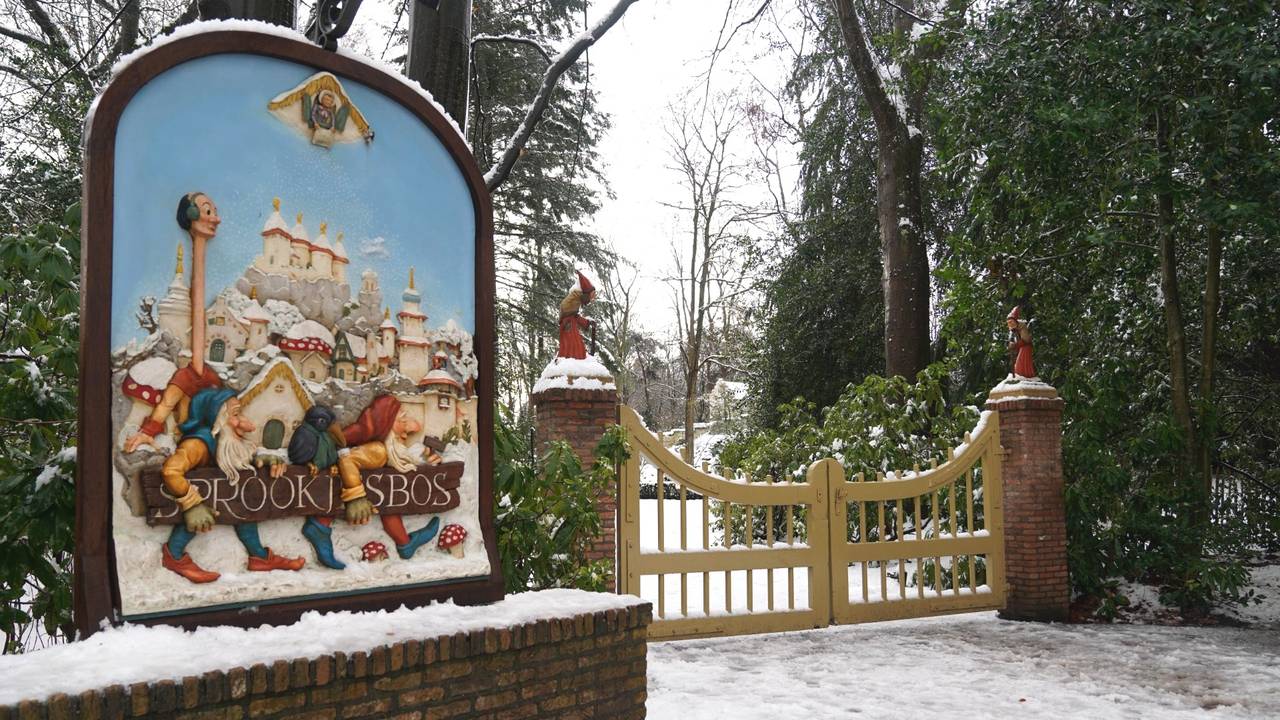 Vanwege het gevaar van vallende takken was het Sprookjesbos enige tijd dicht (foto: Bart Meesters/Persbureau Heitink).