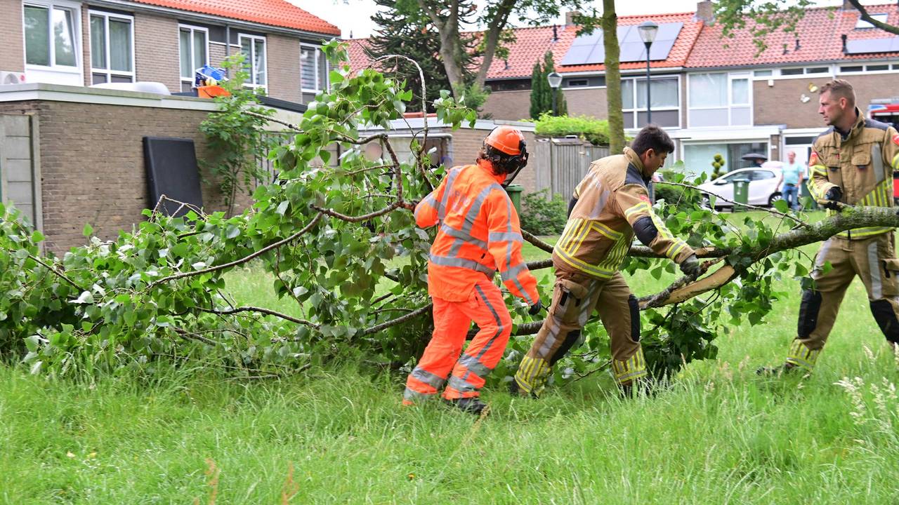 Foto: Perry Roovers / Persbureau Heitink