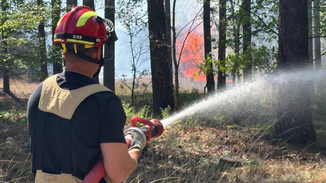 Foto: Omroep Brabant