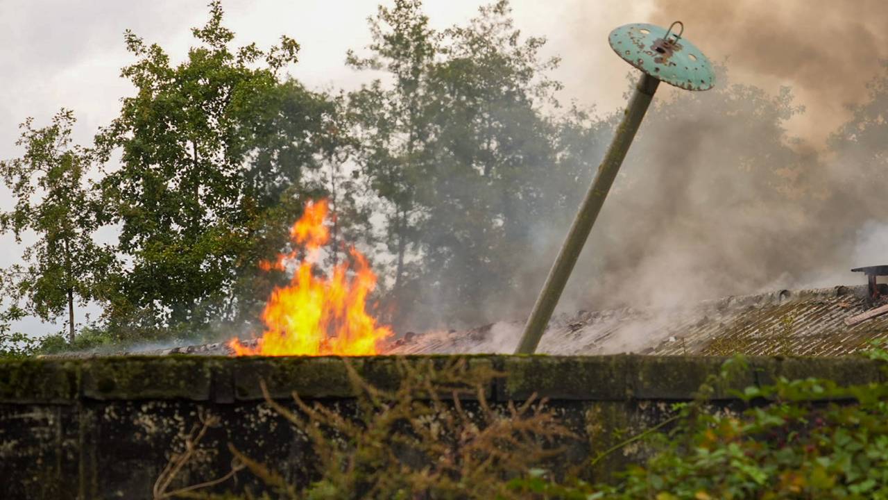 Foto: Harrie Grijseels/Persbureau Heitink