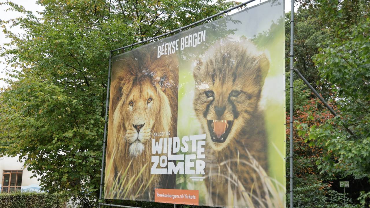 Libéma is de eigenaar van de Beekse Bergen in Hilvarenbeek