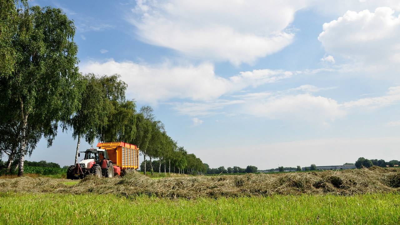 Wat hoge bewolking boven een weiland in Brabant (Foto: Ben Saanen)