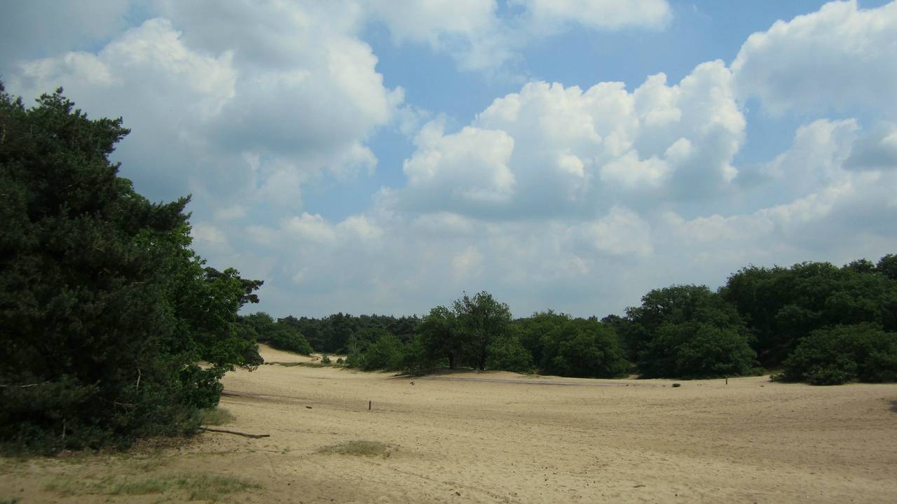 (Foto: Margreet van Vianen)