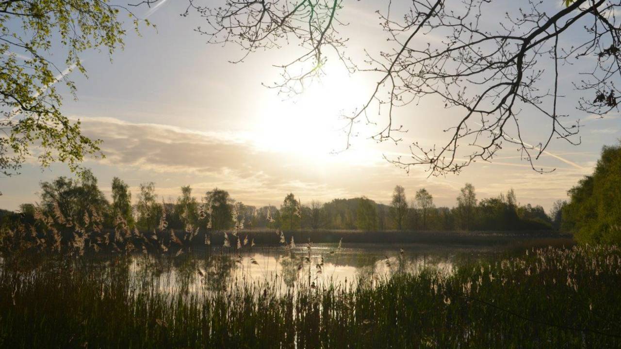 Bergeijk (foto: Everien van Poppel). 