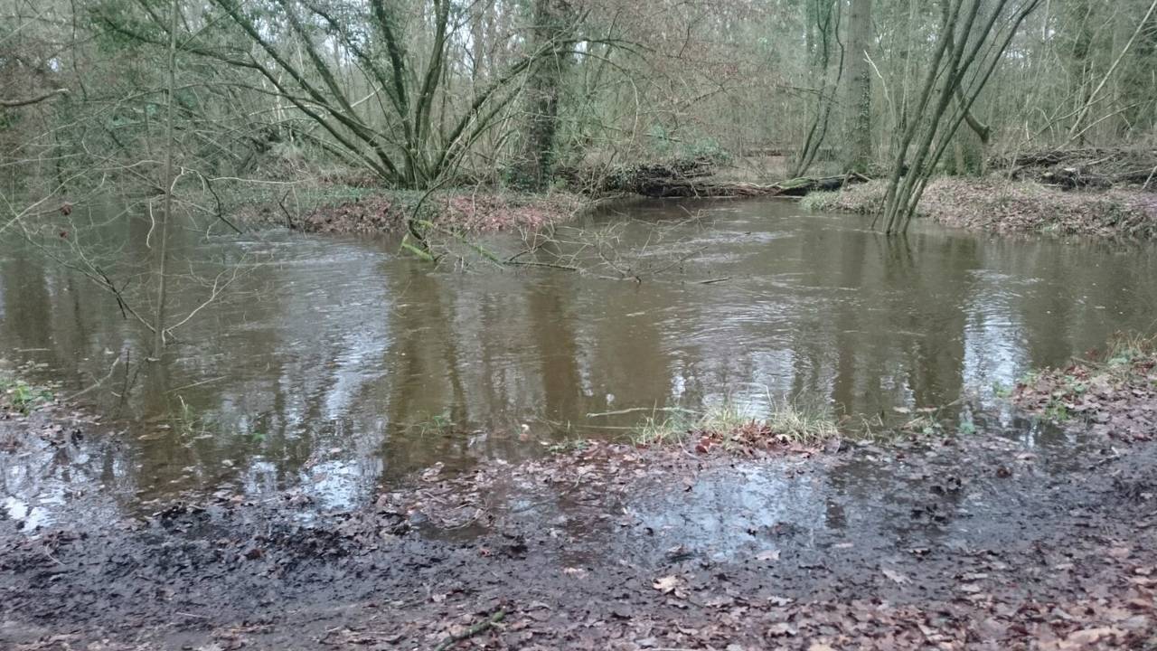 Begin dit jaar was er nog flinke wateroverlast op Landgoed de Utrecht (archieffoto: Waterschap De Dommel).