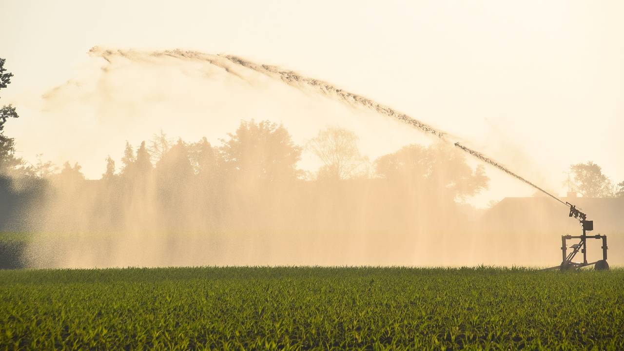 Waterschap scherpt maatregelen aan: ook telers onder waterverbod