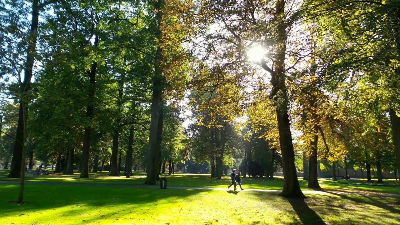 Gemeente wil Park Valkenberg veiliger maken en vraagt bezoekers om hulp