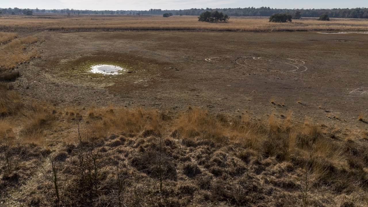 De Landschotse Heide in 2022 (foto: Wim Hoogveld).