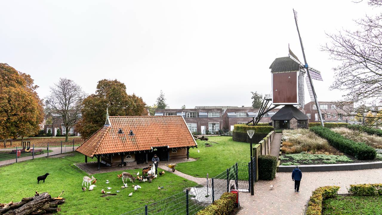 Het Mierlose Hertenkamp ligt naast de molen, waar bewakingscamera's hangen (foto: Gemeente Geldrop-Mierlo).