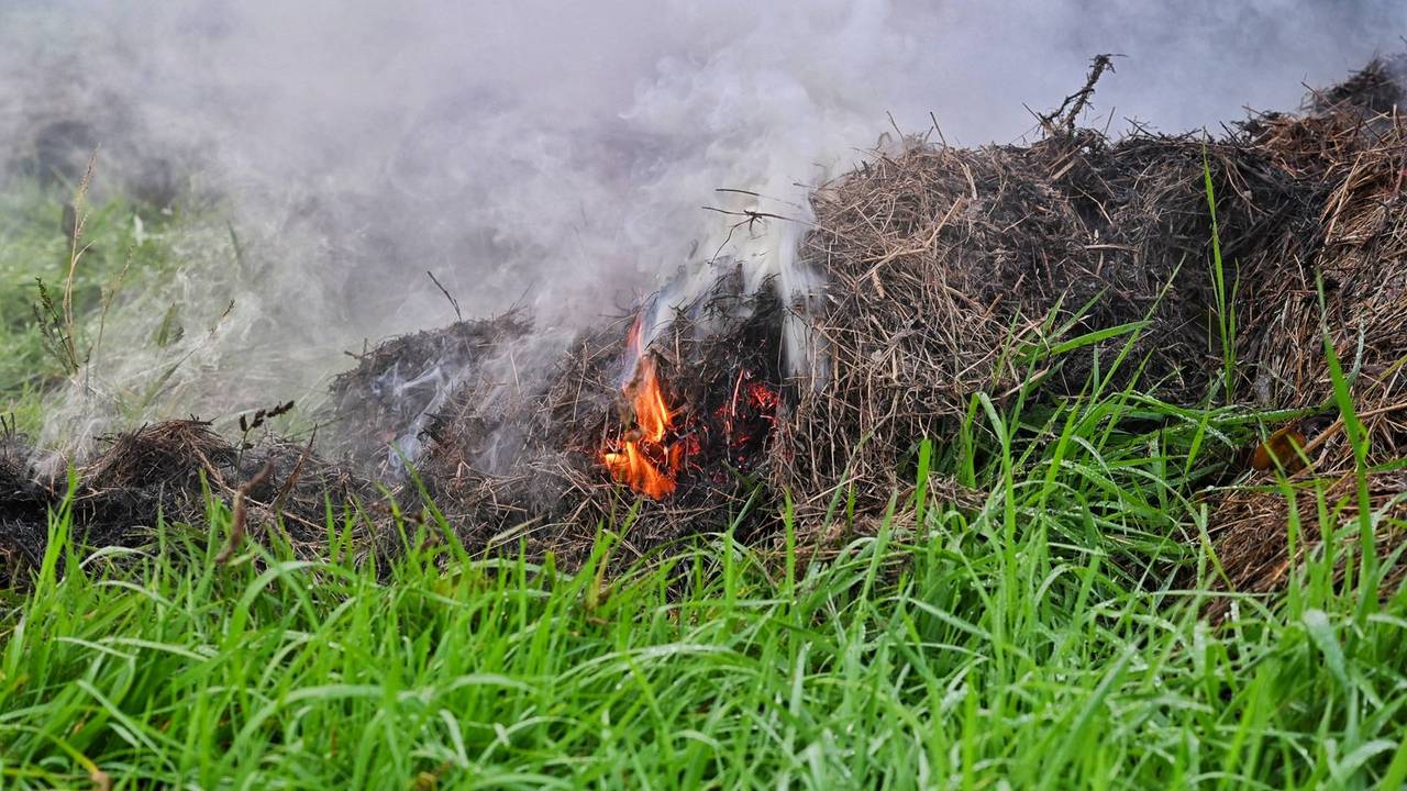 Foto: Toby de Kort/Persbureau Heitink.