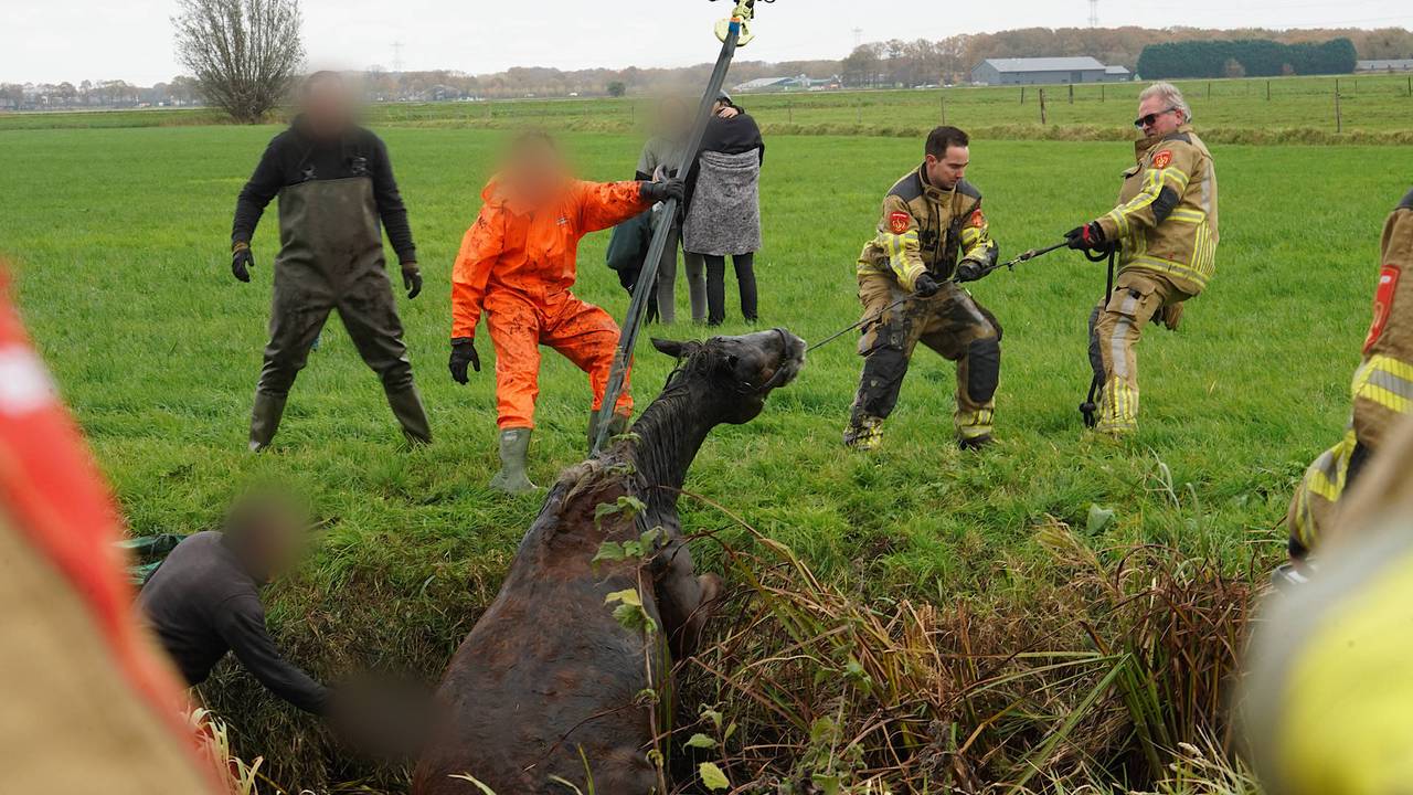 Foto: Jeroen Stuve/Persbureau Heitink.