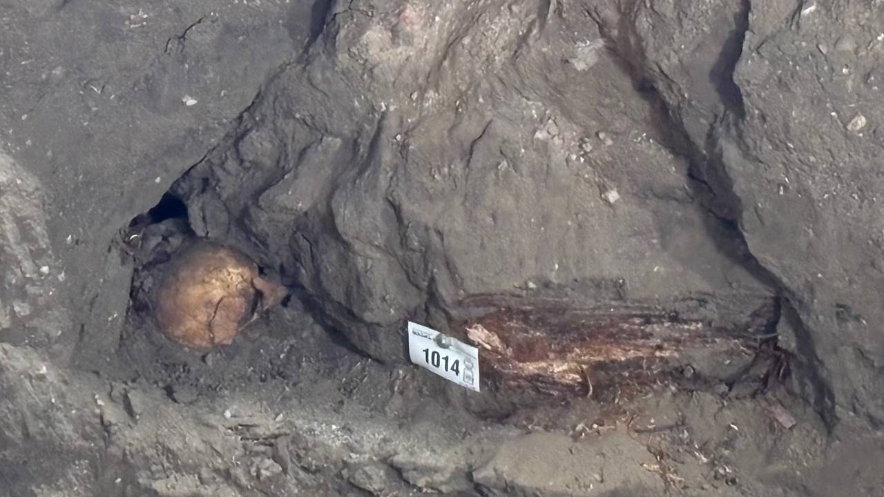 Dit is een van de gevonden skeletten in Antonius Abtkerk van Volkel (foto:Dtv)
