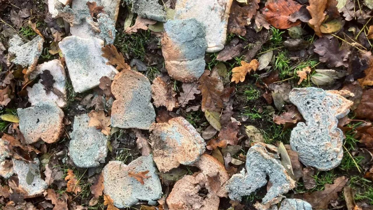 Foto: Parkboerderij.