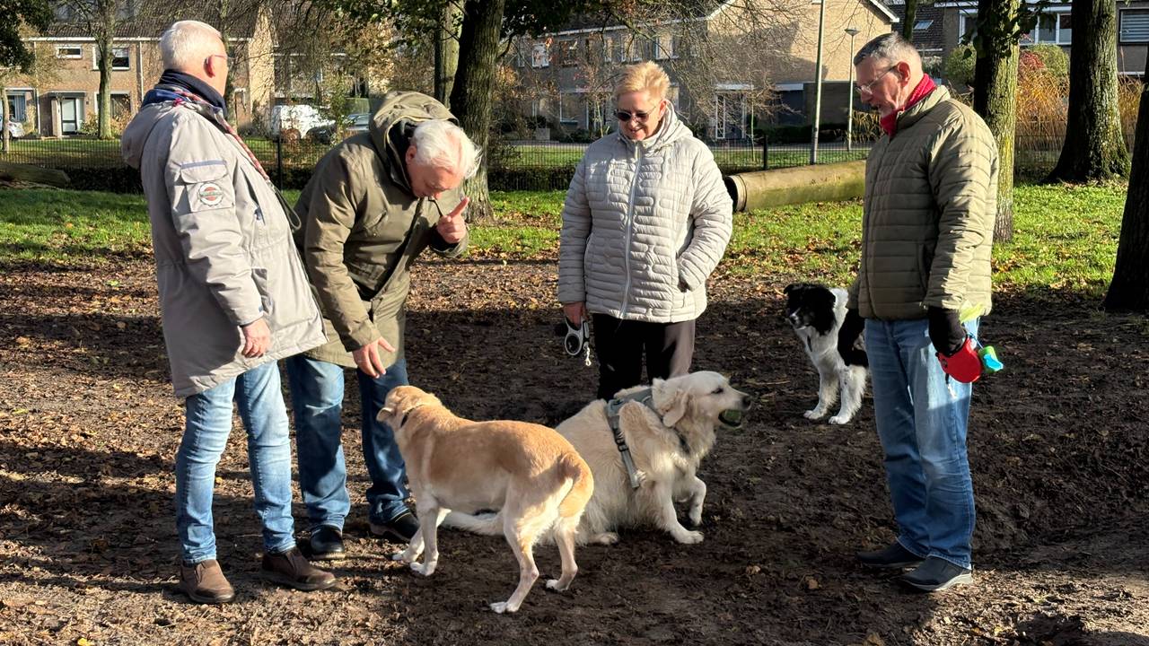 Gezelligheid bij het veldje (foto: Raymond Merkx).