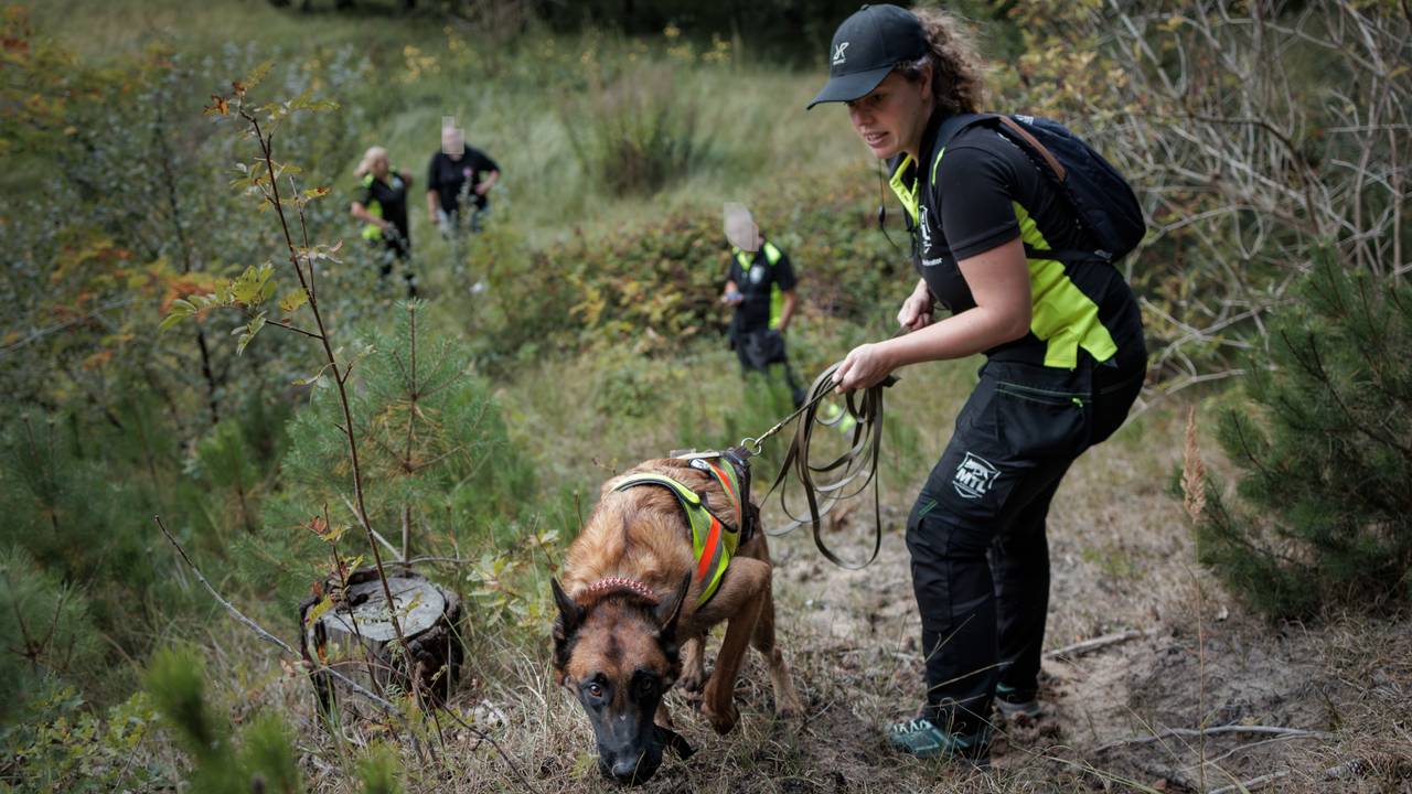 Speurhond Tesla met begeleider Fleur tijdens een inzet (foto: Studio Snuffel)