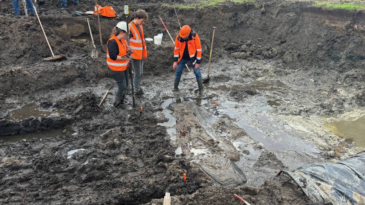 Het oude stuk hout wordt blootgelegd bij de opgraving in Esch.
