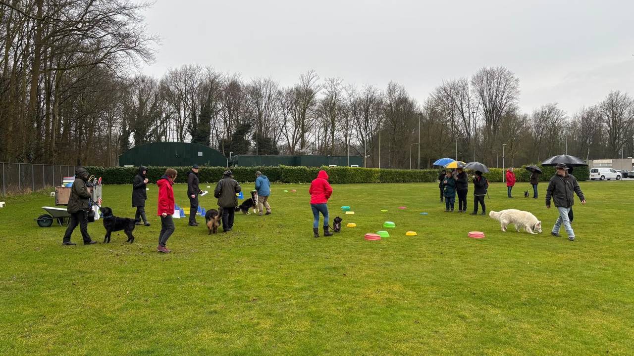Hondensportliefhebbers tijdens het 30-jarig jubileum van de vereniging