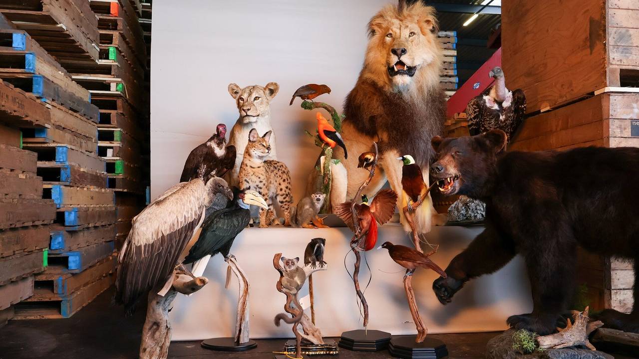 Bij een Brabander zijn 90 illegale diersoorten gevonden