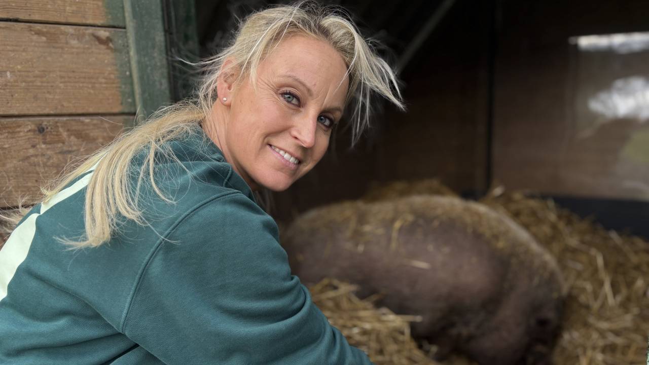 Dominique Schreinemachers verzorgt het zwaarlijvige varken Pumba (foto: Wilco Zonneveld).