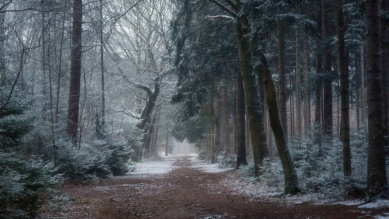 Winter op de Oude Buisse Heide (foto: Natuurmonumenten).