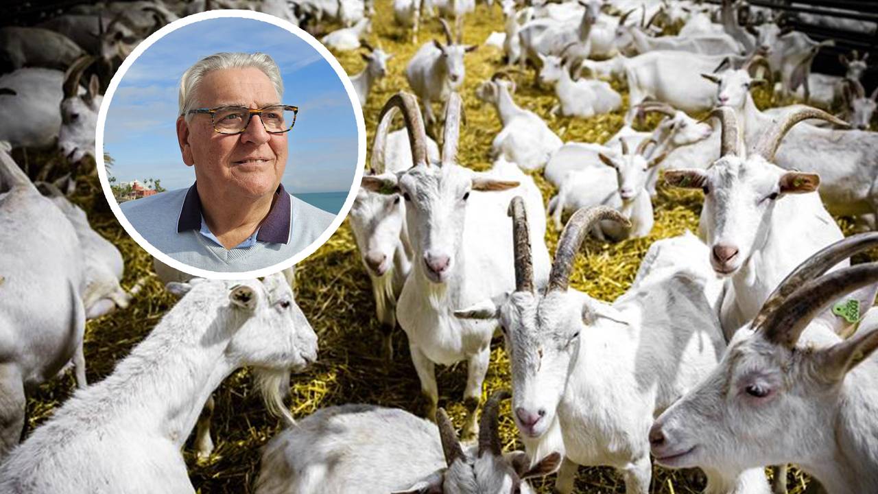 Henk van Roosmalen wil dat Q-koorts patiënten perspectief krijgen (foto: ANP/eigen beeld). 