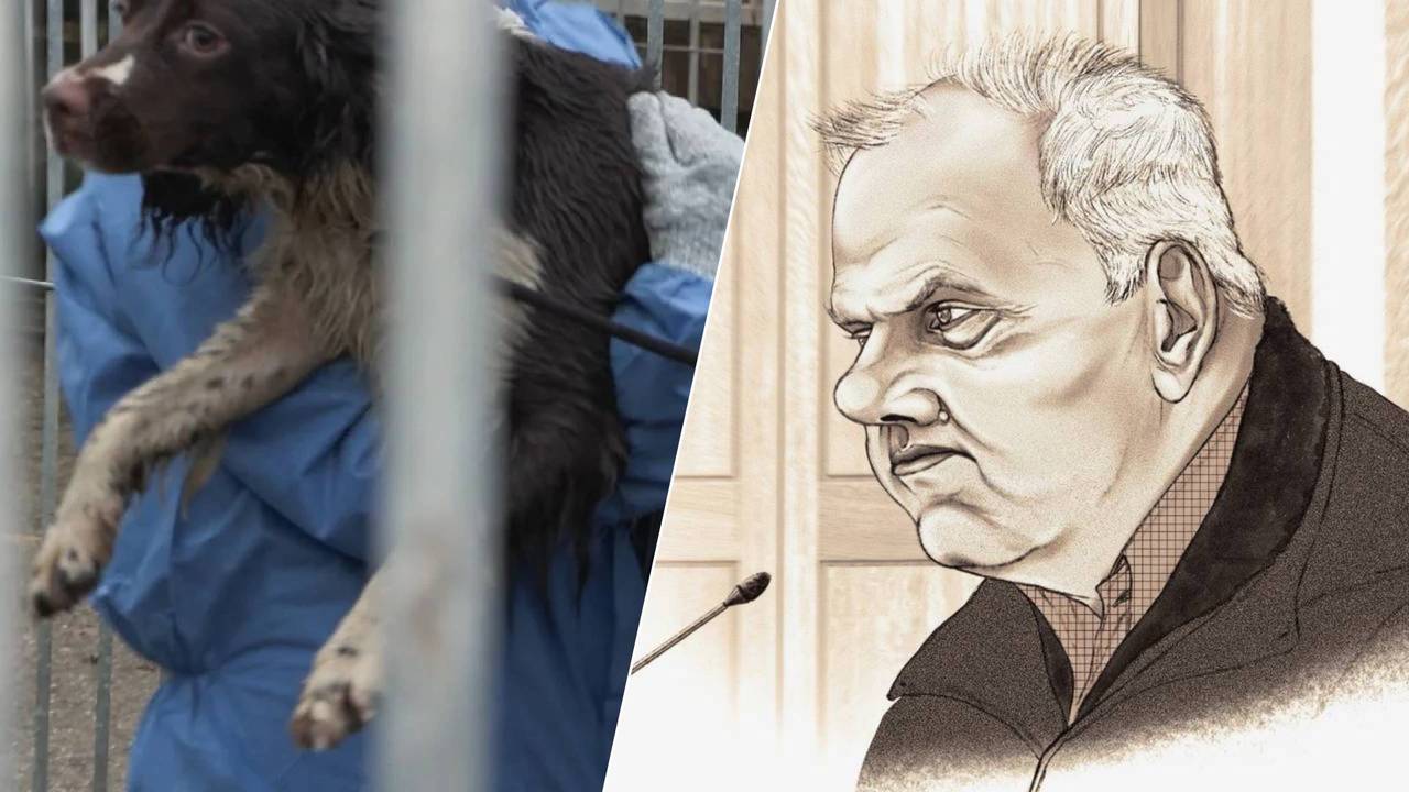 Jan Paridaans krijgt werkstraf (tekening rechts: Adrien Stanziani). de rechtbank (tekening: Adrien Stanziani).